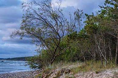 Secure Your Crypto Assets: What Really Works (and What's Bullshit)