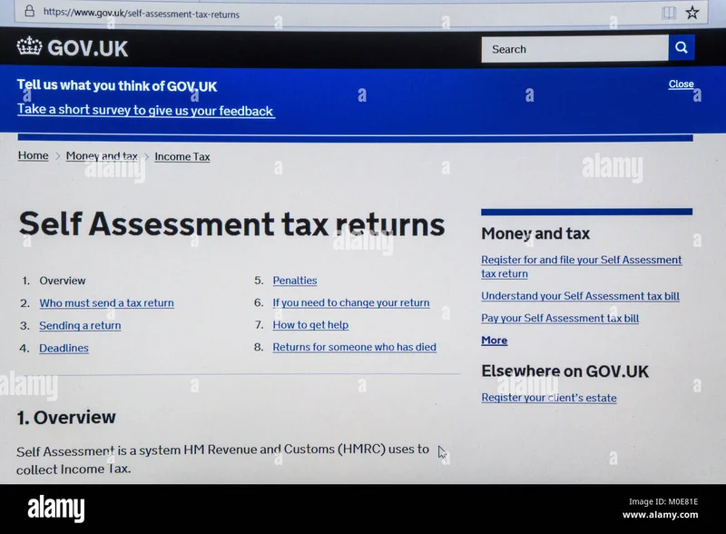 HMRC's Digital Leap: What It Means for Your Taxes & the Future
